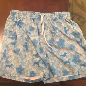Southern proper bathing suit/shorts